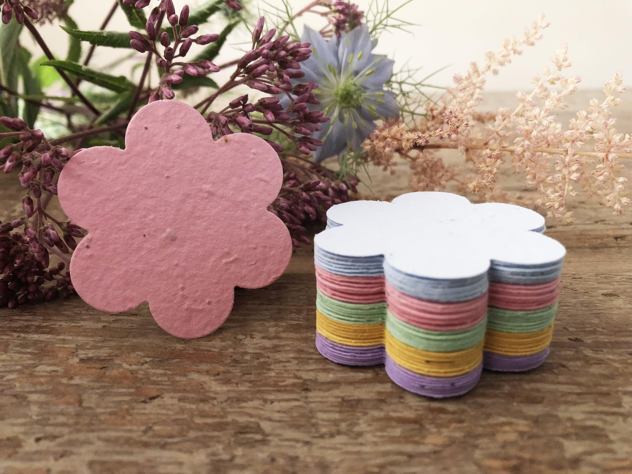 Multicoloured Seed Paper Flowers (100)