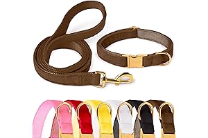  Velvet Dog Collar, Comfort Fit for Small Breeds, Soft and Adjustable, Brown