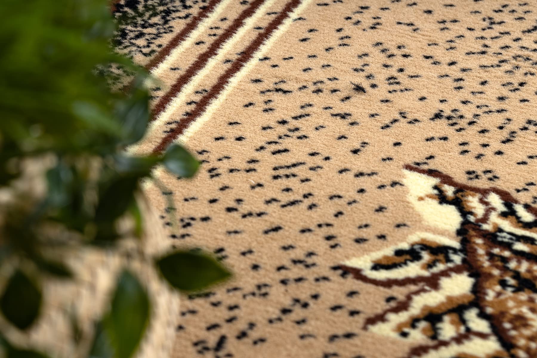 rugsx Tappeto BCF Morad LISC Agawa tappeto classico, per la camera da letto, il soggiorno, la camera da letto, design senza tempo - beige 80x150 cm