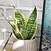 Product Photo 3