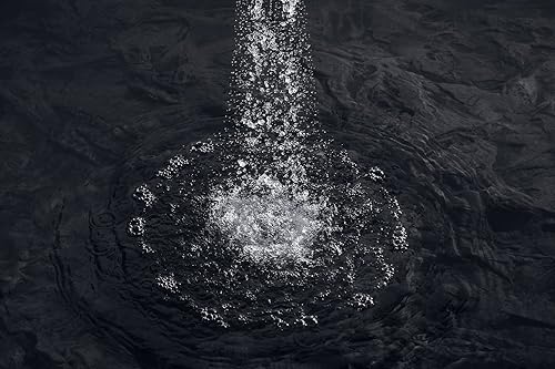 Miniatura 8 de KOHLER K-10286-SN Forte - Ducha de mano multifunción, níquel pulido vibrante