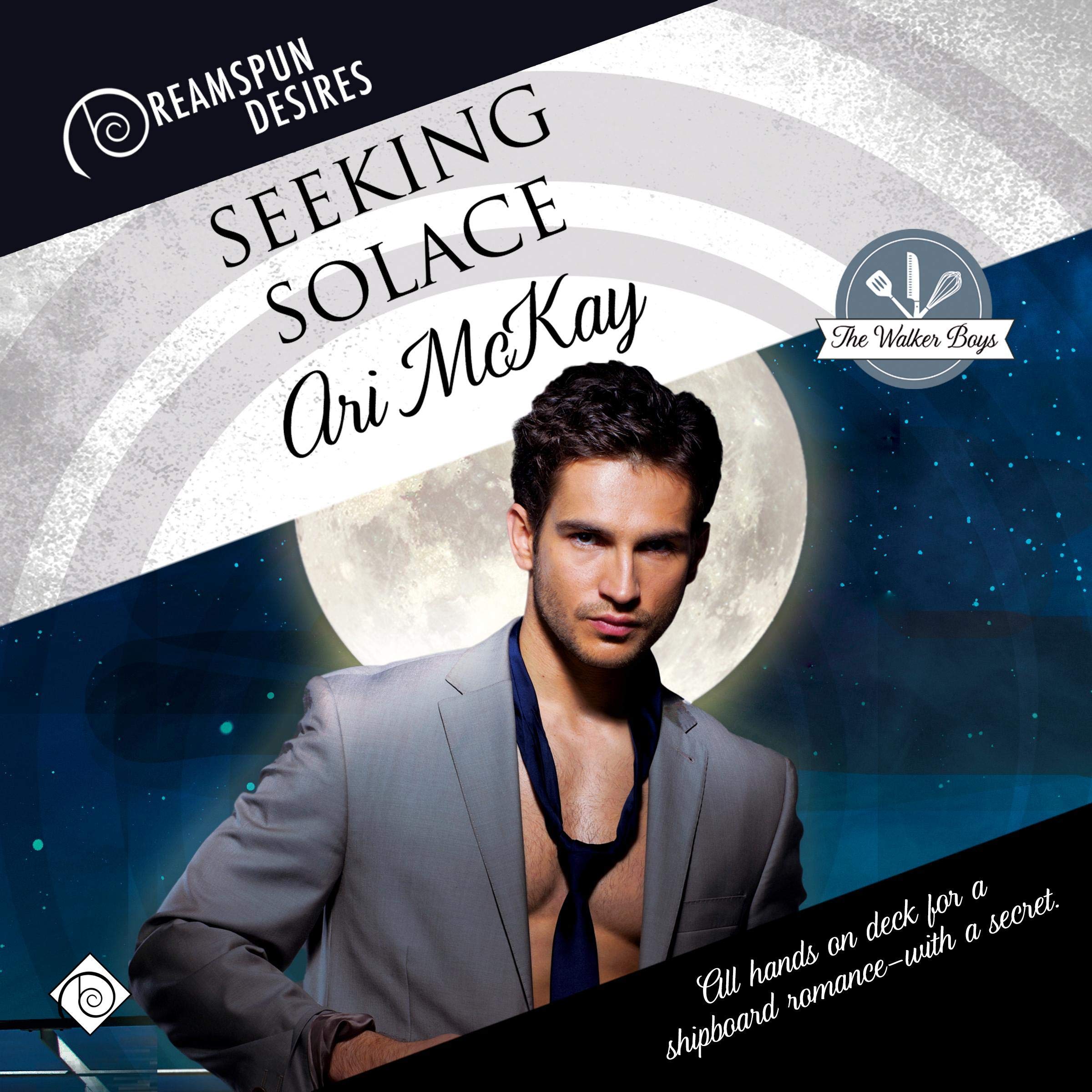 Cover art for Seeking Solace