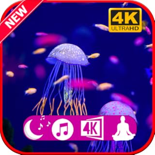 Jellyfish Aquarium Relaxing Music for Sleep Study and Meditation 1 HOUR FOR FIRE TV