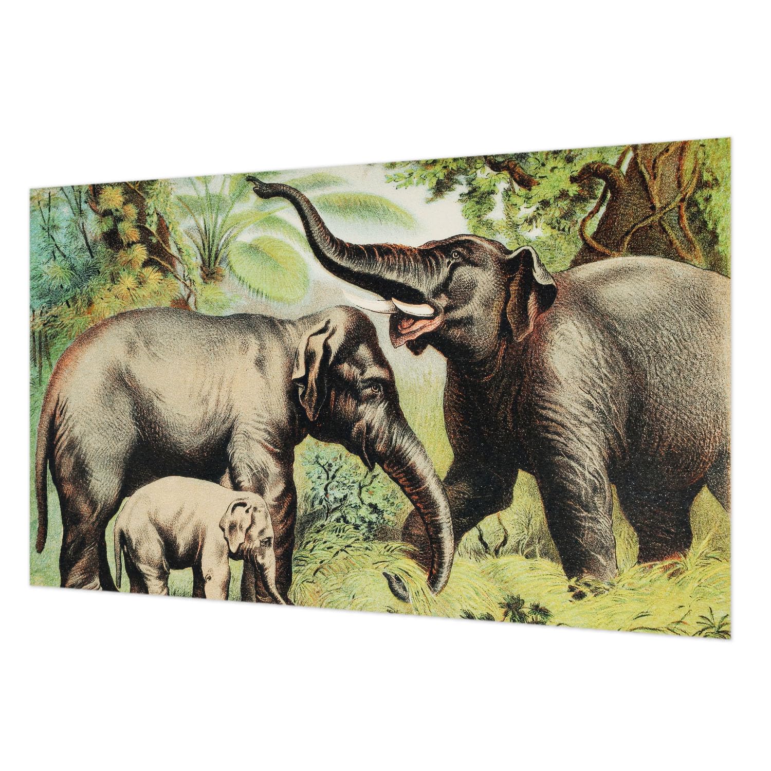 Tapisserie éléphants facile à nettoyer avec colle incluse