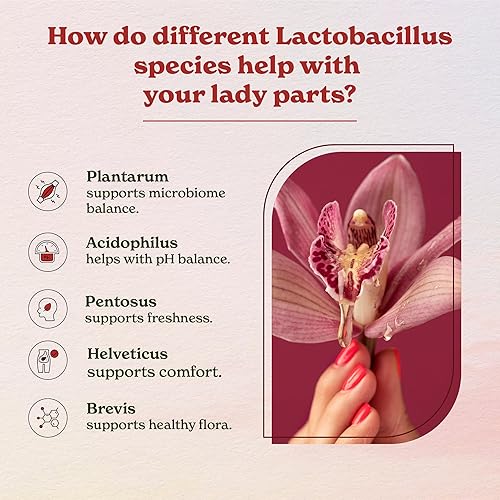 Miniatura 3 de Better Alt PROBIOTIC+ Cápsulas (7 mil millones de UFC)  7 cepas probióticas  Ayuda con el equilibrio del pH  Suplemento para mujeres  Paquete de 1