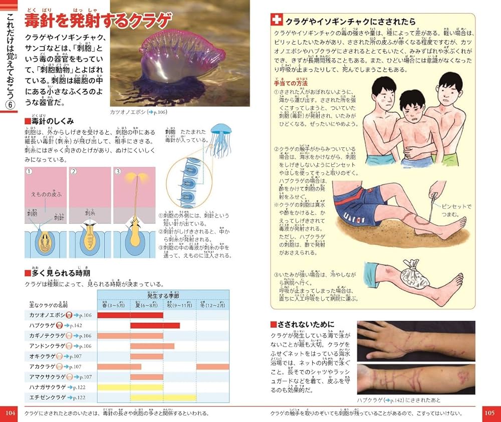 小学館の図鑑NEO 危険生物他14冊セット 楽天市場】【収納BOX付・送料無料・条件有】小学館の図鑑NEO