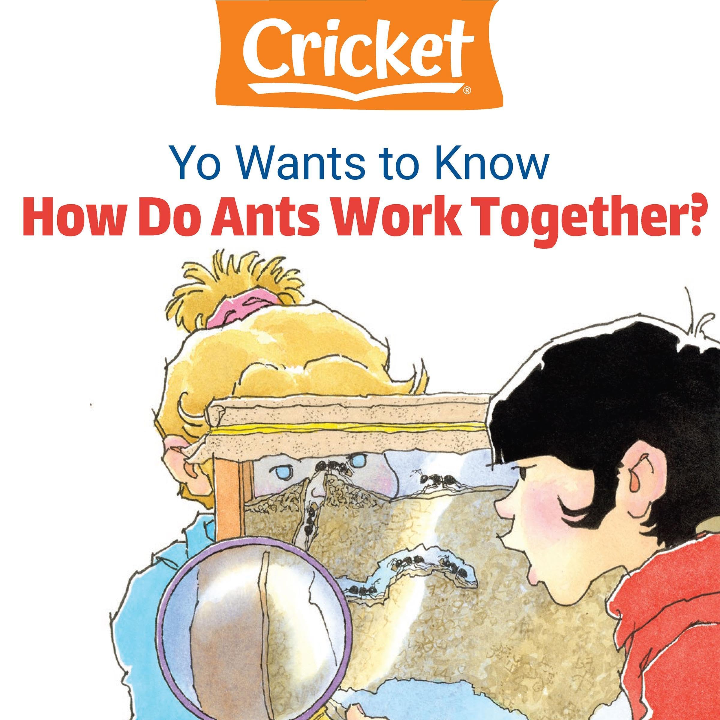 Yo Wants to Know: How Do Ants Work Together?