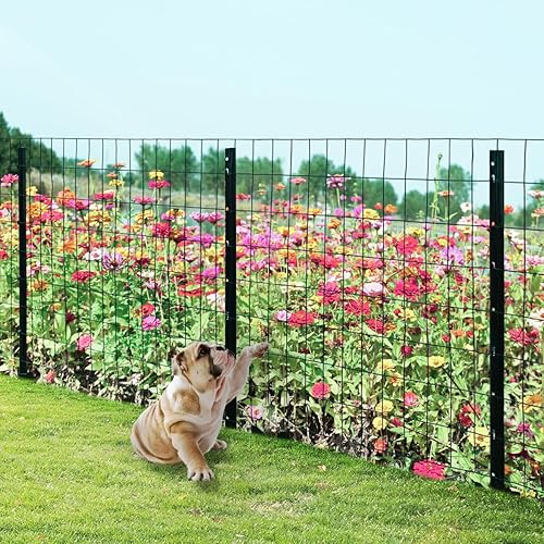 Miniatura 6 de Valla de alambre soldada con revestimiento de PVC negro de 24 pulgadas x 50 pies, 2 pulgadas x 3 pulgadas, paquete 16GA de metal para valla de 3