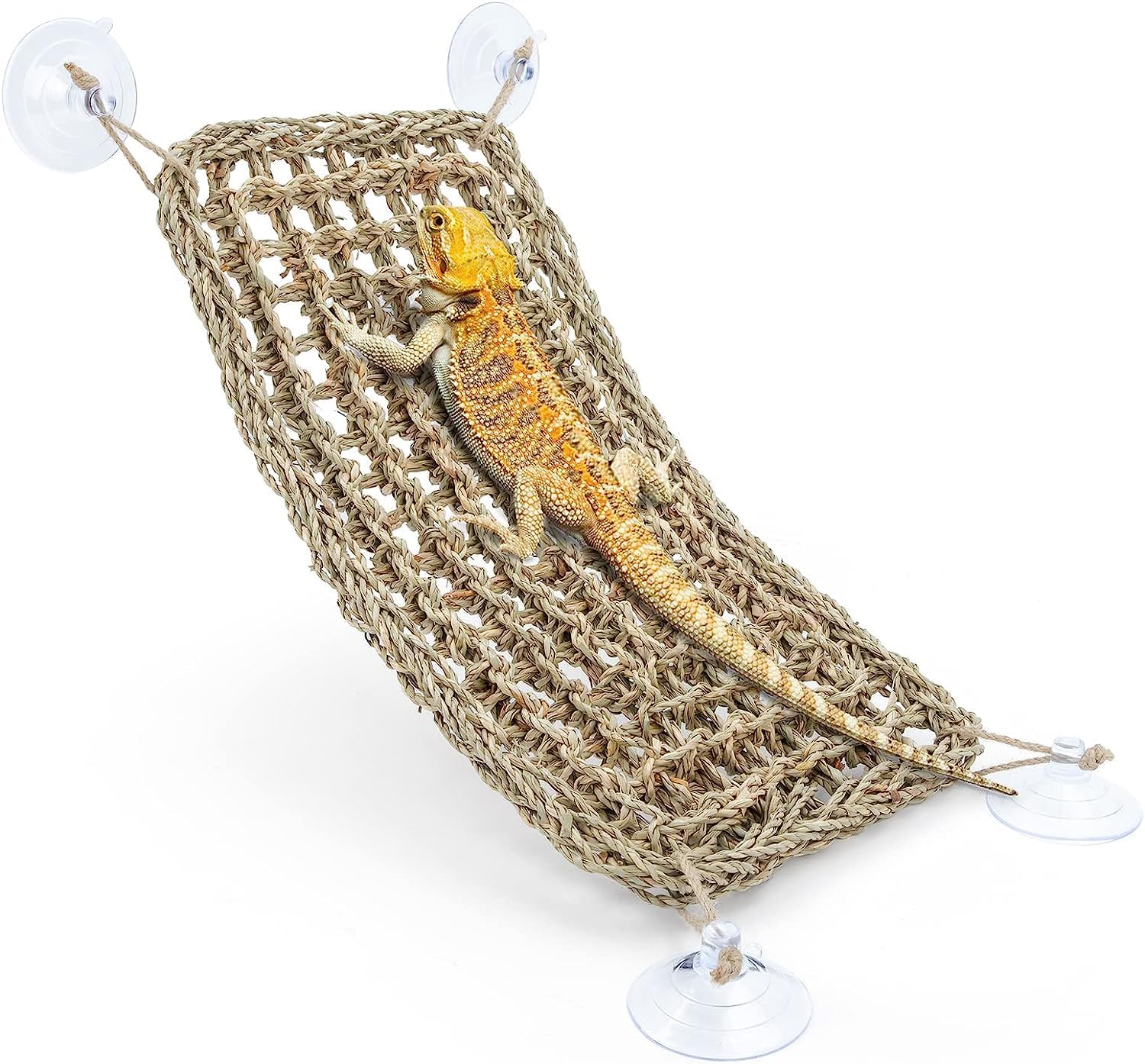 Bearded Dragon Hammock Lounger, Perfect For Reptile Tanks And Pet Lizards, Seagrass Fiber & 5 Suction Cups Included