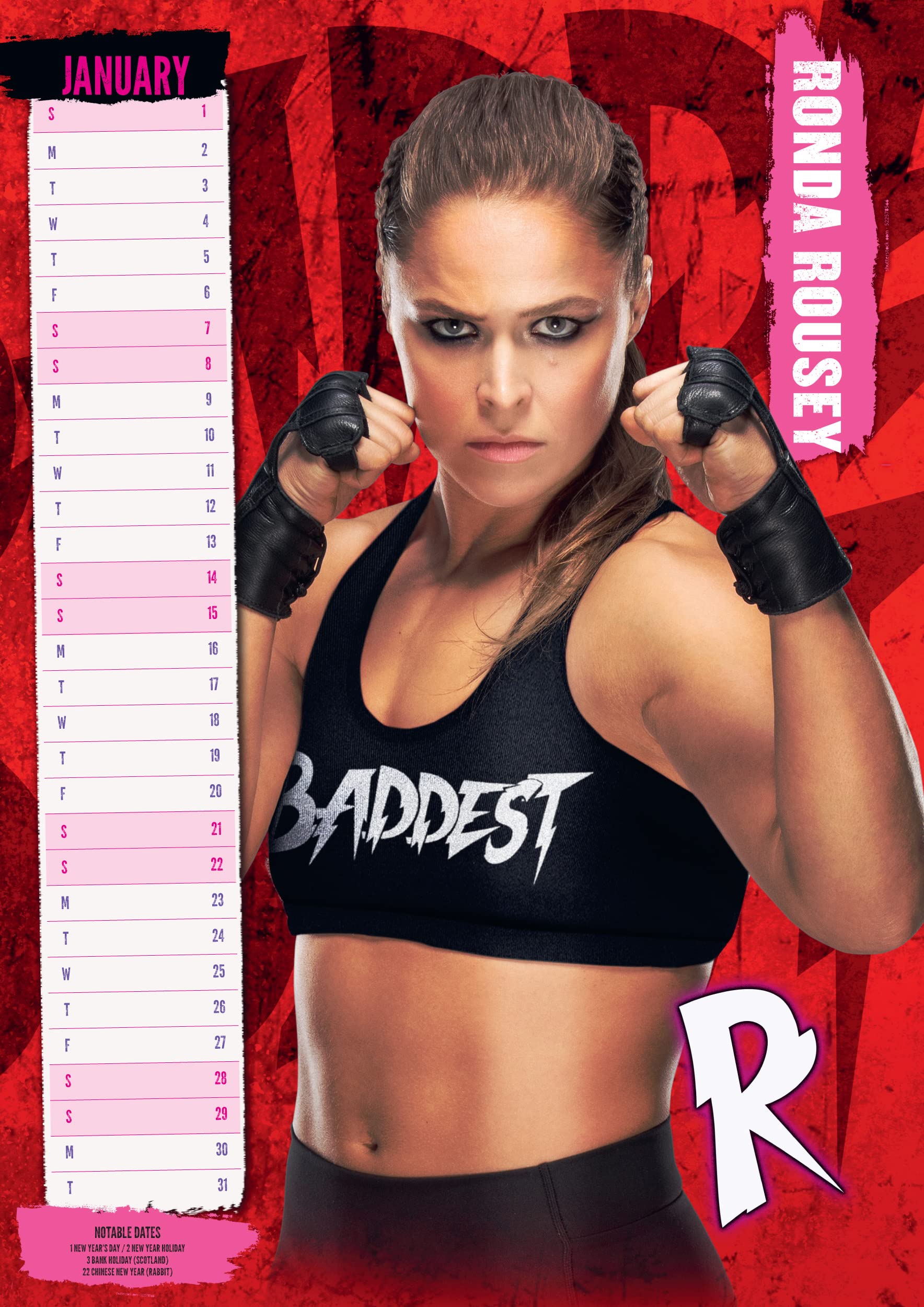 CALENDRIER WCW WRESTLING 1997 Liaison Spirale 30 X 42 Cm Hulk Hogan