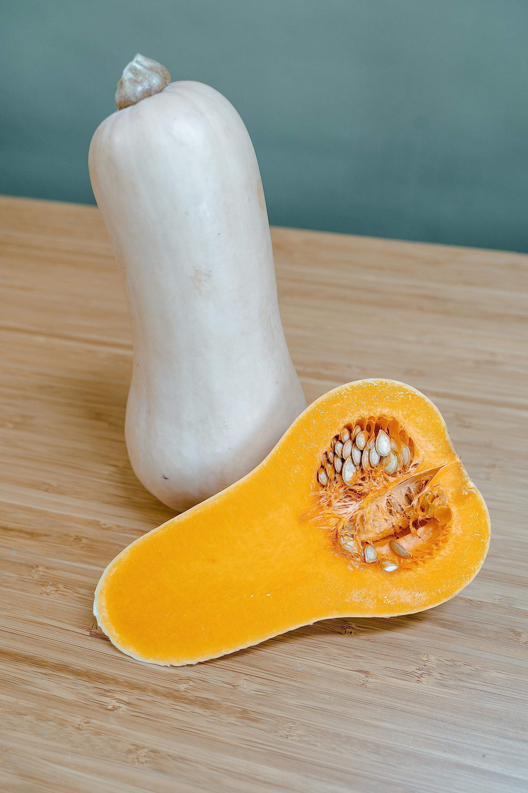 Butternut Squash Plug Plants Grow Your Own Fruit 'Ready to Plant Now' (1)