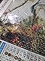 Ginfonr 5D Diamant Painting Diamond Painting Complet Perroquet Coloré Broderie Peinture Diamant