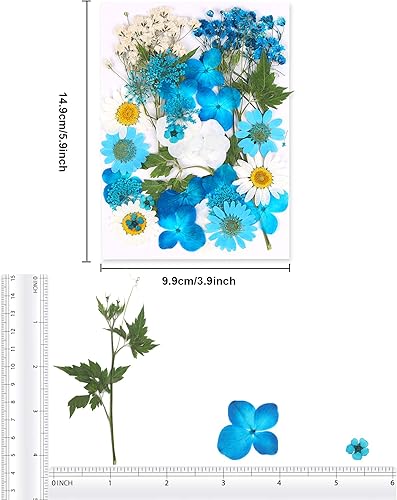 Vista 42 de Augshy 141 flores secas prensadas para resina, flores secas naturales reales prensadas para manualidades, moldes de resina, álbumes de recortes, 5