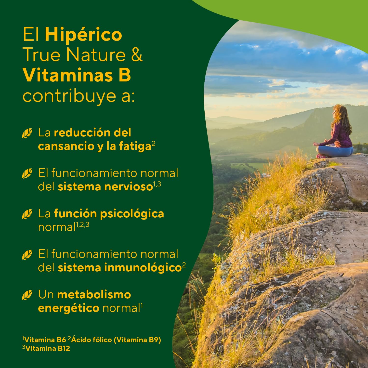 Hipérico Hierba de San Juan Extracto - 5000mg al día - 240 cápsulas - Alta Concentración - con hipericina natural - con vitaminas B6, B12 y ácido fólico - TRUE NATURE®