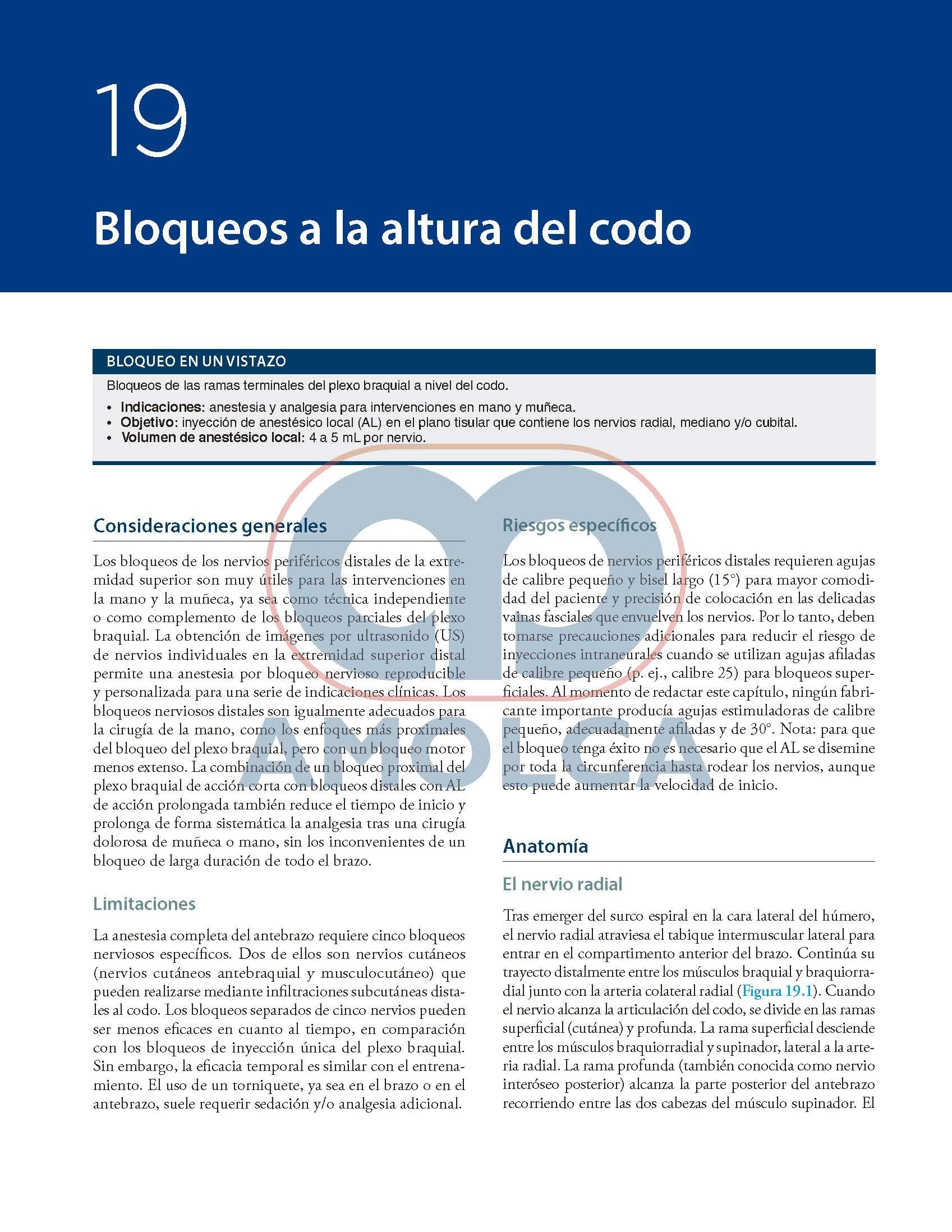Bloqueos Nerviosos Periféricos y Anatomía para Anestesia Regional Guiada por Ecografía de HADZIC