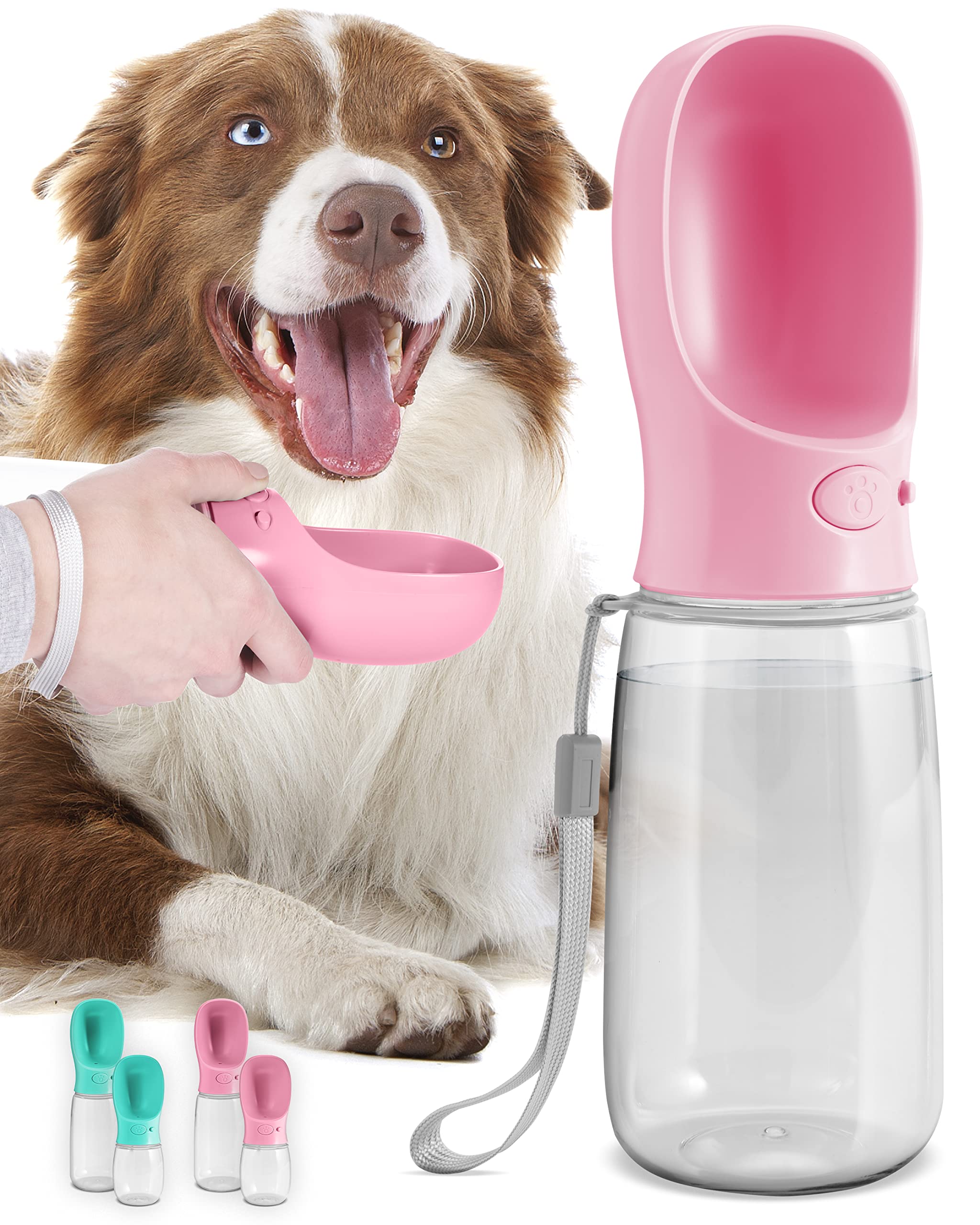 Can A Newborn Puppy Drink Water