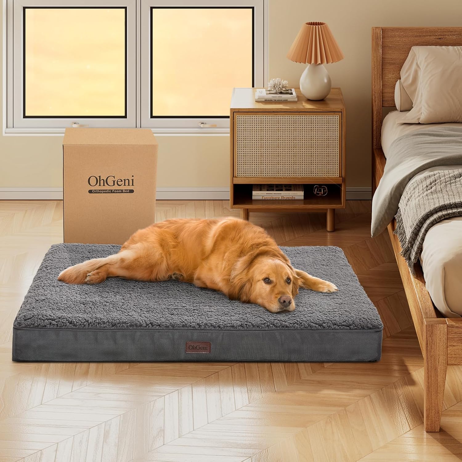 OhGeni Orthopedic Dog Beds for Large Dogs Review Pet Dogs Supplies