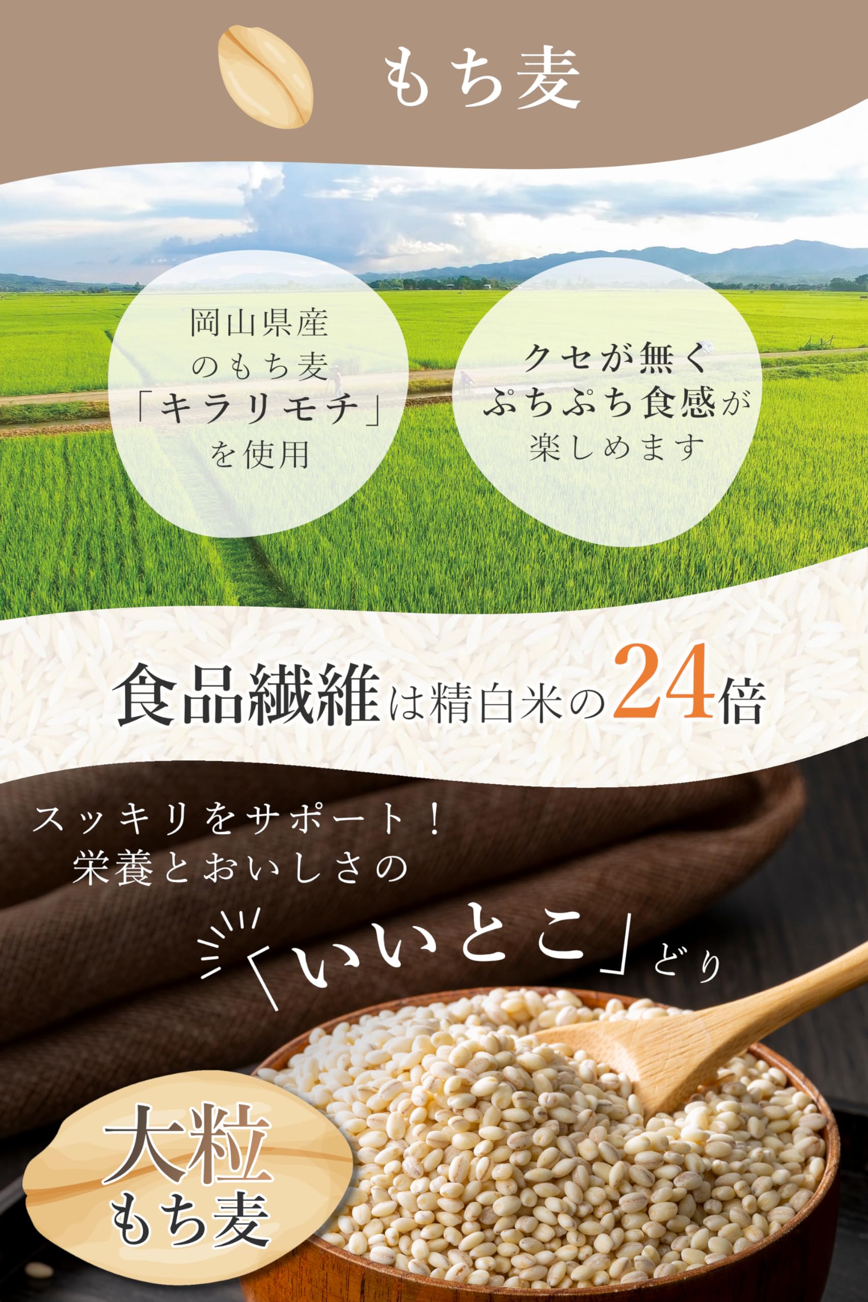 120g×48個入り 2セット 白米金 キラリモチ 120g×48個入り 2セット 白米金 キラリモチ