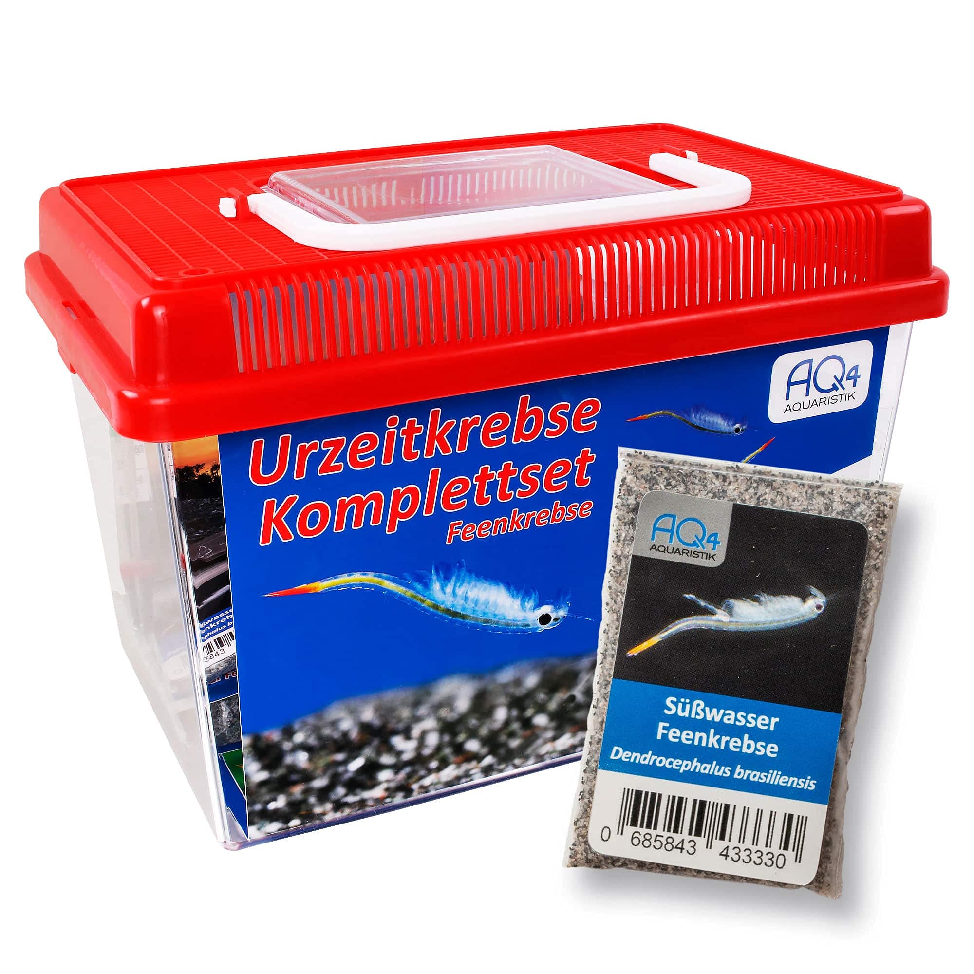 Feenkrebse Starterset mit Urzeitkrebs Eiern: 2,5 l Aquarium, Zubehör, Zuchtansatz, Futter und Anleitung, Dendrocephalus brasiliensis
