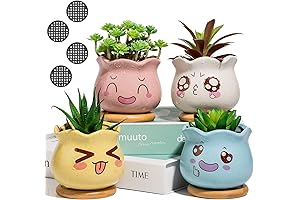 Yangbaga Succulent Planter Decor: A Chic Addition to Your Green Oasis