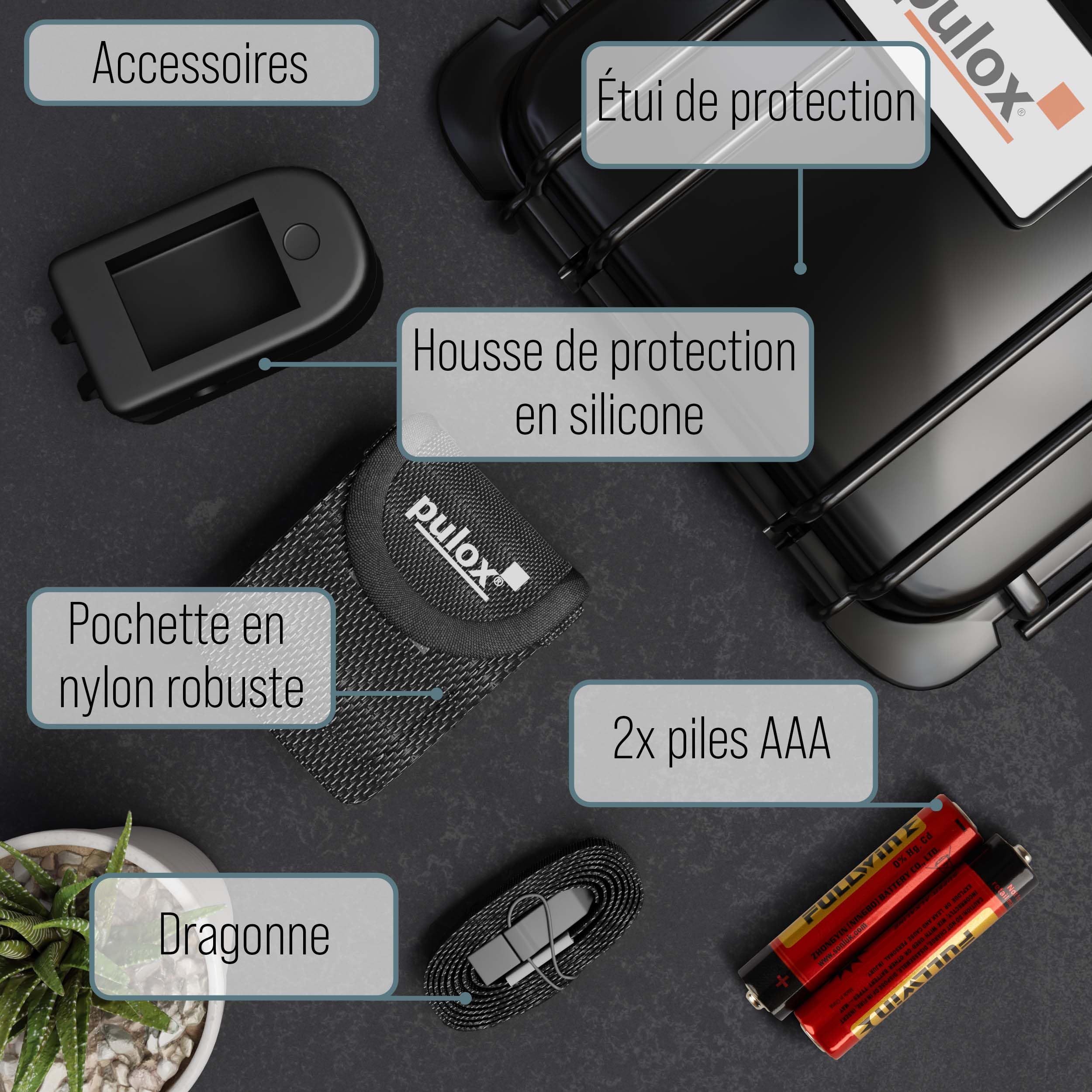 Pulox PO-200A Oxymètre de pouls avec alarme, son du pouls et set d'accessoires pour la mesure de SpO2, pouls et IP