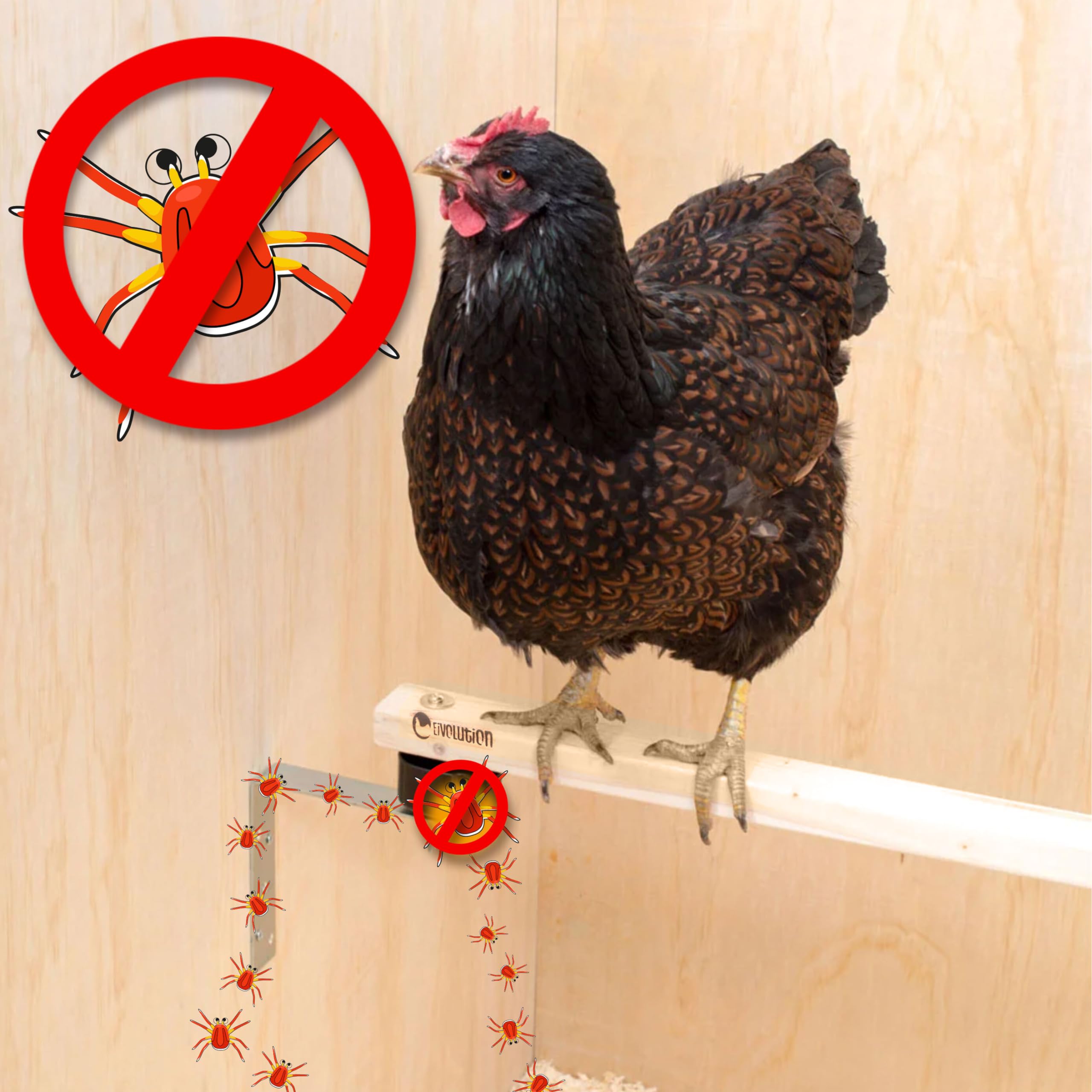 Milbensperre für Sitzstangenhalterung – Ungiftige Ölfalle gegen Rote Vogelmilben Hühner