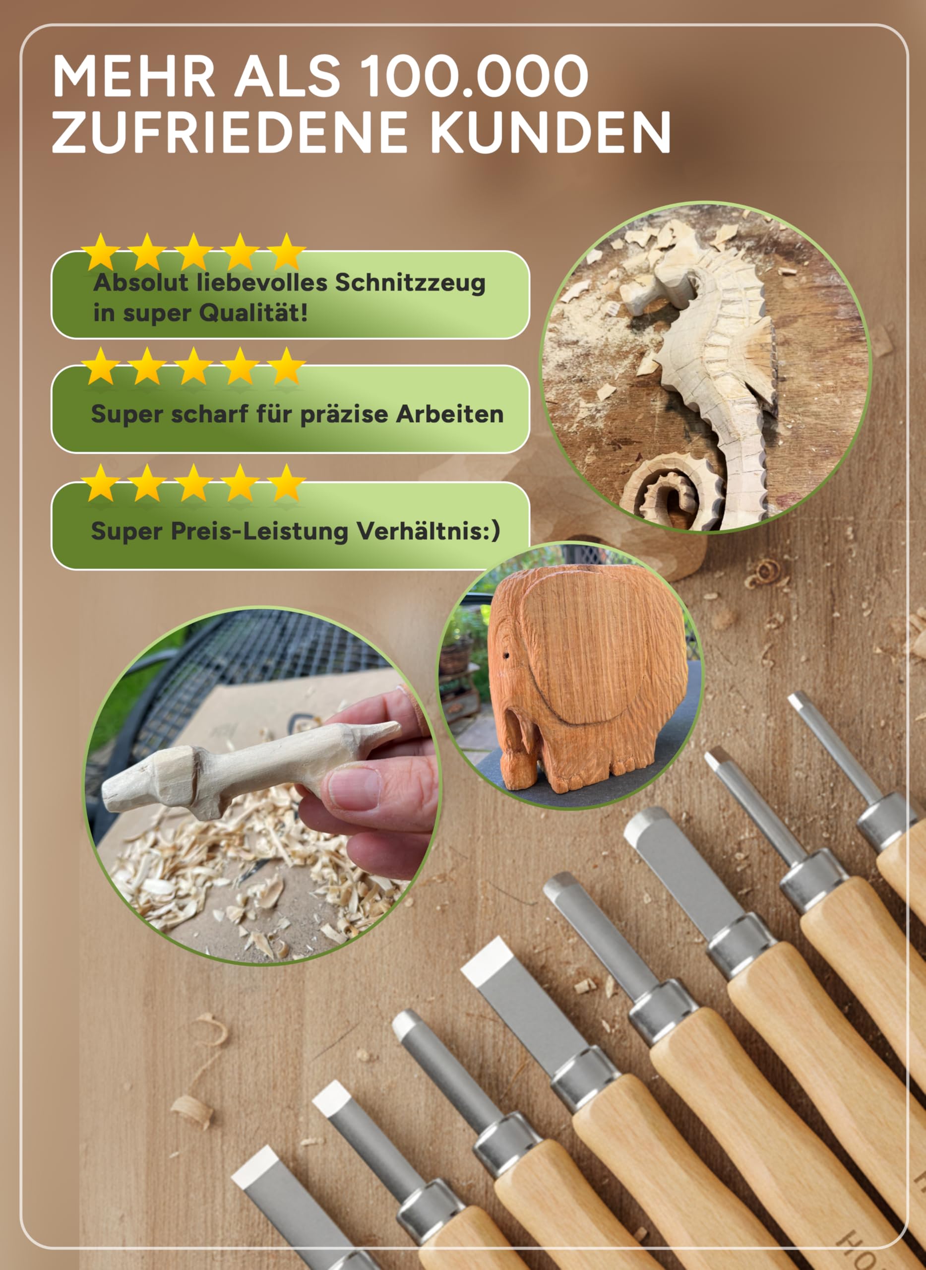 HOLZHELD Ensemble d'outils de sculpture sur bois (14 pièces) avec instructions pour 1 projet de sculpture, 12 couteaux à découper en acier carbone SKS9 avec sac à outils pratique