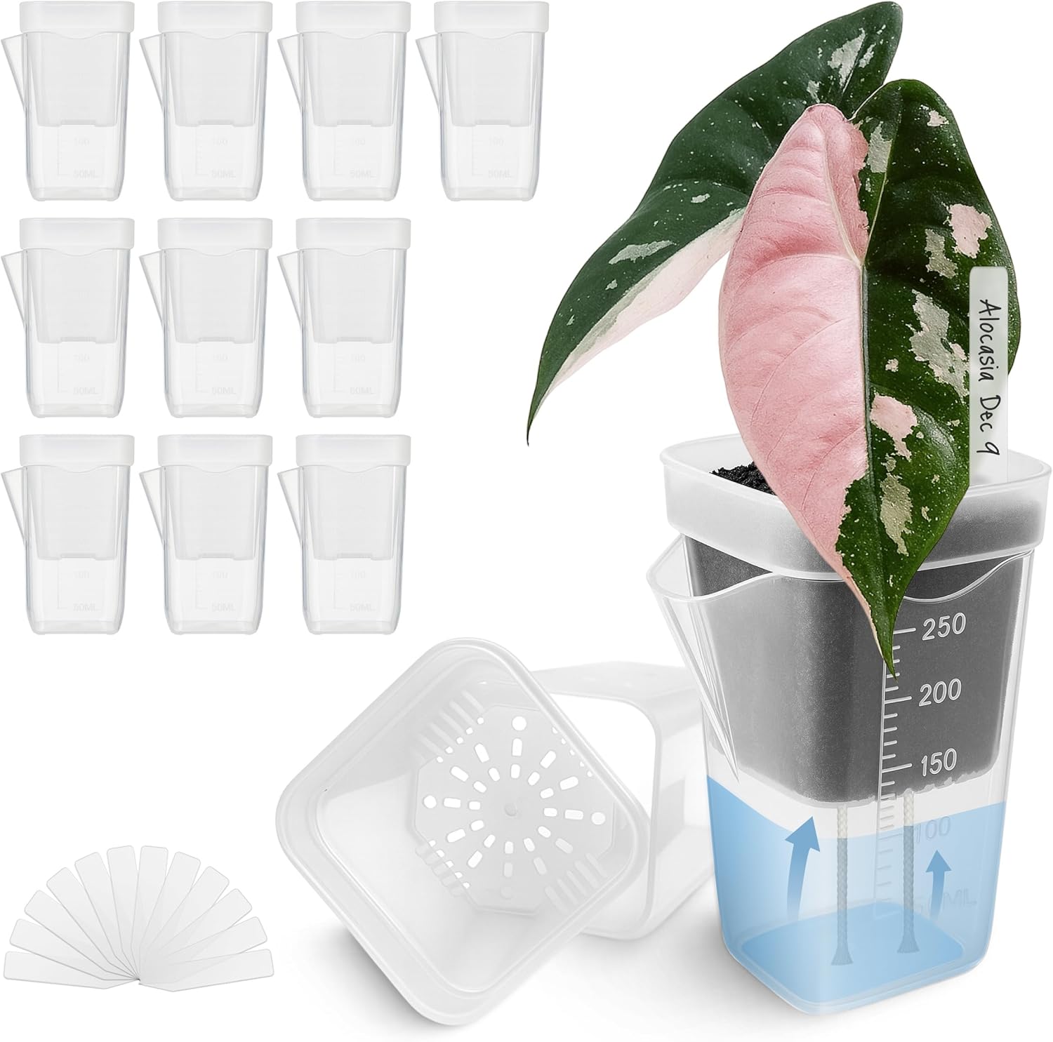 12 Pack 2.5" Small Self Watering Pots for Indoor Plants, Mini Clear Plastic Planters, Semi-Hydro, Propagation, Cuttings, Seedlings, Hoya, African Violets, Alocasia, LECA, PON,12 Plant Label