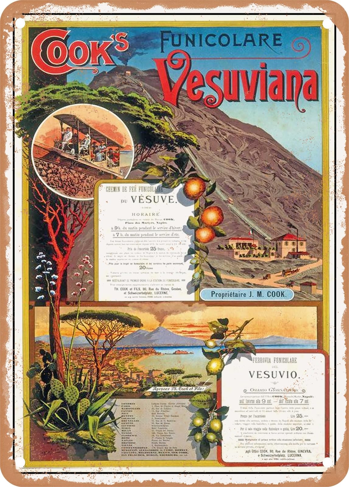 Miaomansenstore Metal Sign - 1893 Vesuvius Funicular Vintage Ad Home Decor