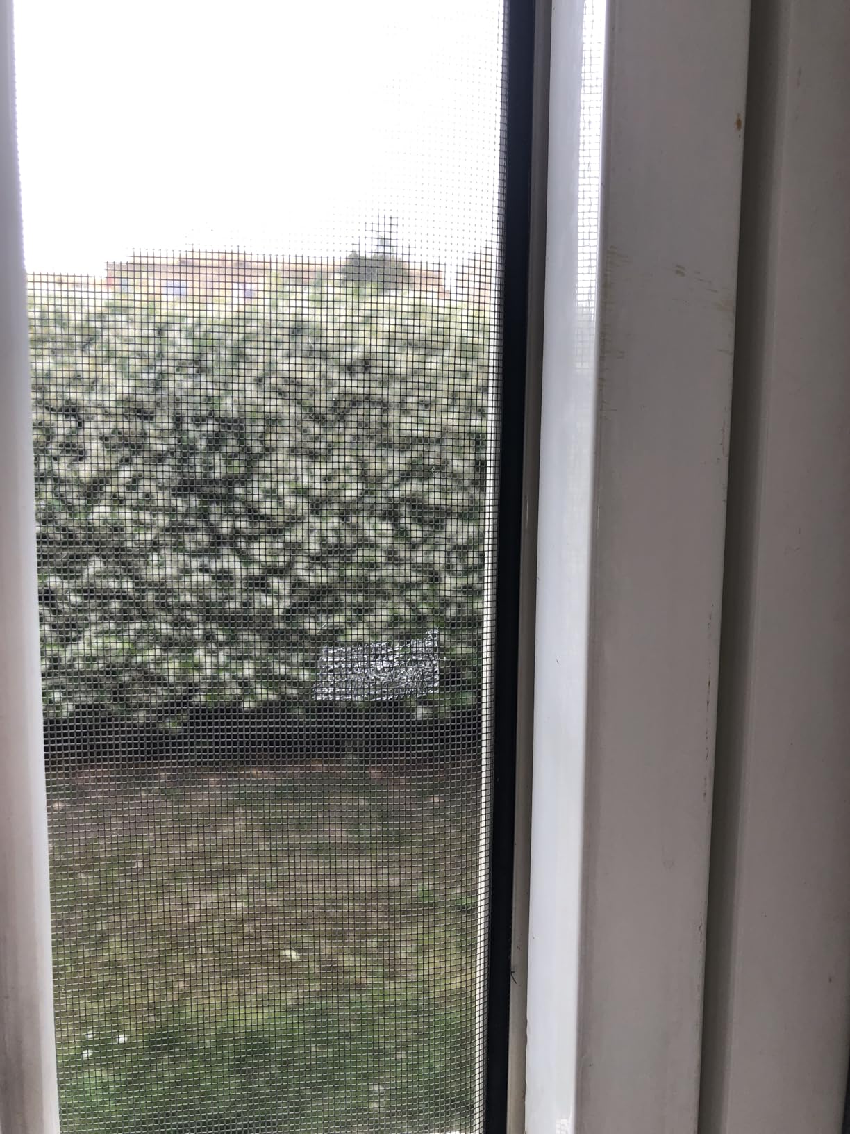 Recensione di Storm Beckett