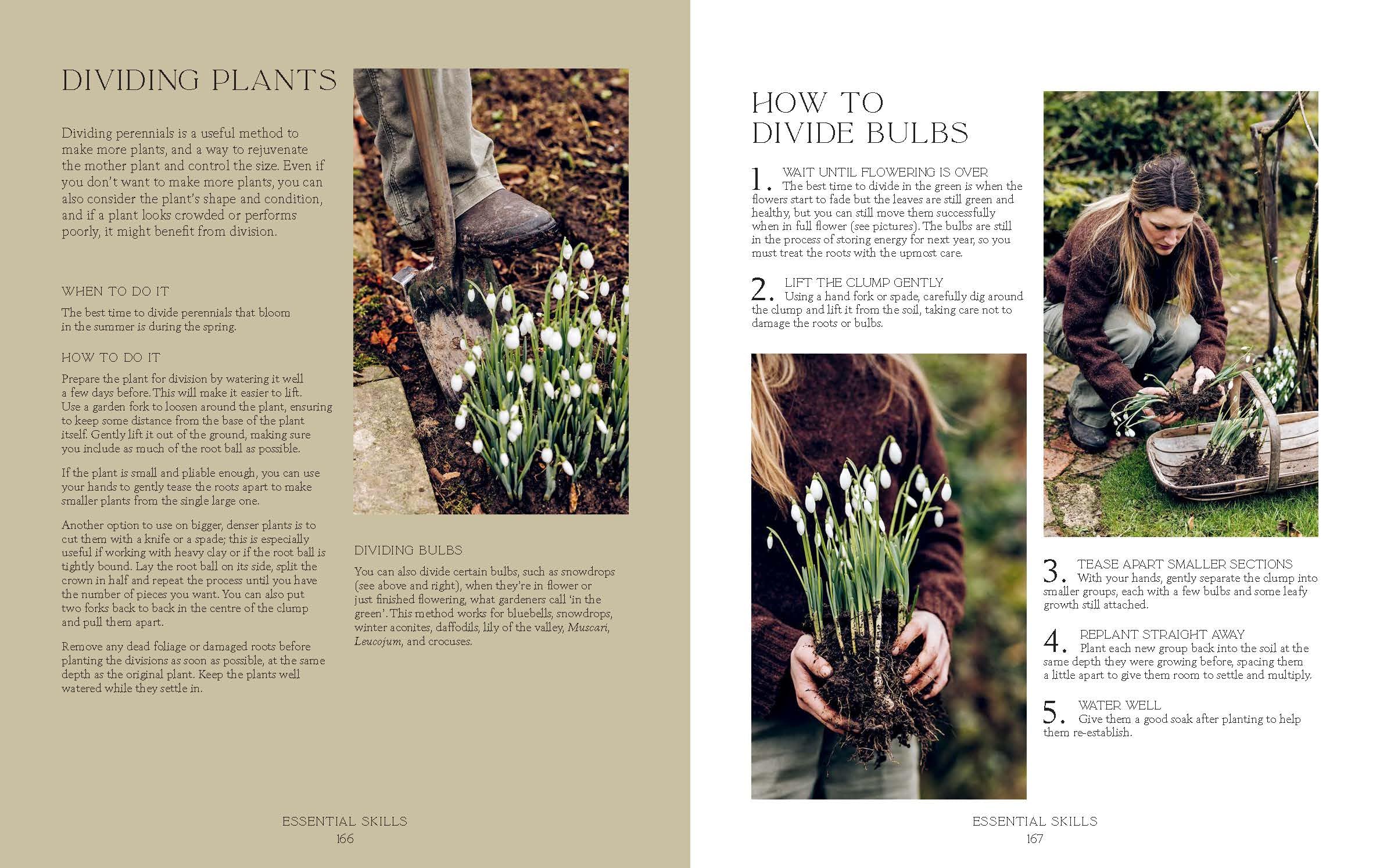 How Does Your Garden Grow?: The elements of planning, growing & caring for a garden