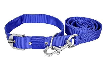 VIP COLLECTION Strong Nylon Everyday Dog Collar Leash Set Color- Blue Small