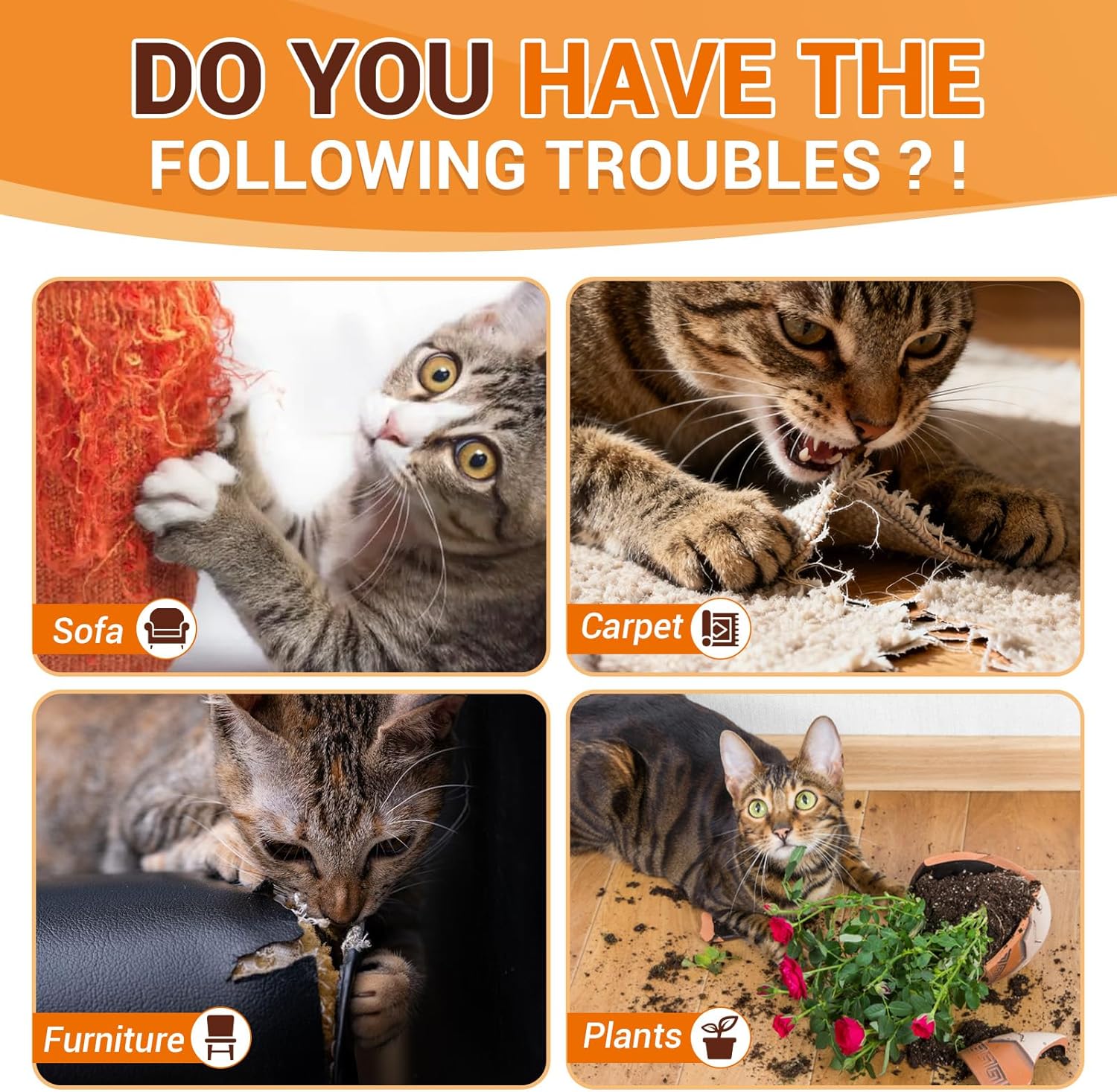 Cat Deterrent Spray with Added Citrus Essential Oil,150ml Efficient Anti-Scratch Cat Spray,Safe,Natural Indoor/Outdoor Training Spray for Furniture to Prevent Cat Scratching and Territory Marking - Image 2