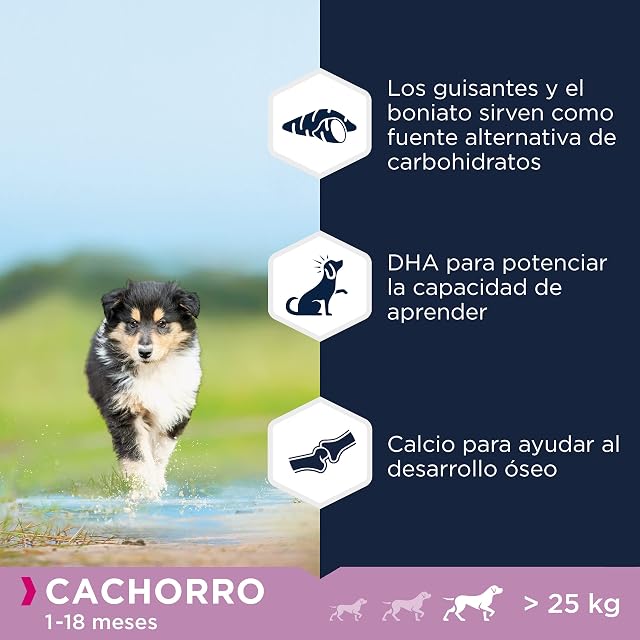 Foto 4 de 7 de EUKANUBA Grain Free, Alimento para Cachorros de Razas Grandes y Gigantes, Rico en Pollo, 3kg