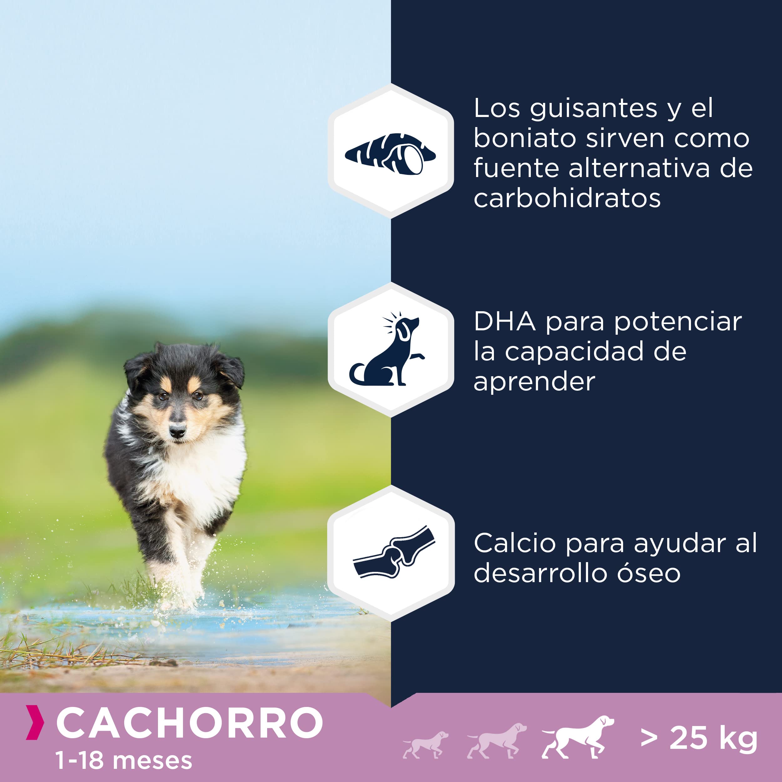 EUKANUBA Grain Free, Alimento para Cachorros de Razas Grandes y Gigantes, Rico en Pollo, 12kg