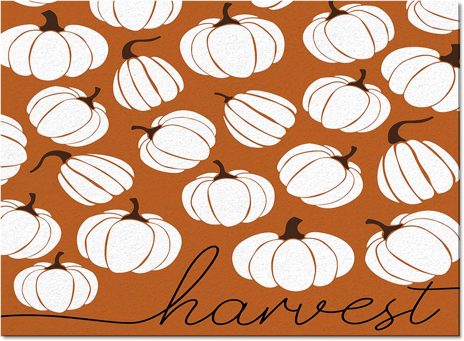 Large Area Rug, Thanksgiving Non-Slip Indoor Accent Area Carpet, Fall White Pumpkin Harvest Orange Fluffy Shaggy Runner Rug for Living Room, Bedroom, Kids Room, 2'7"x 5"