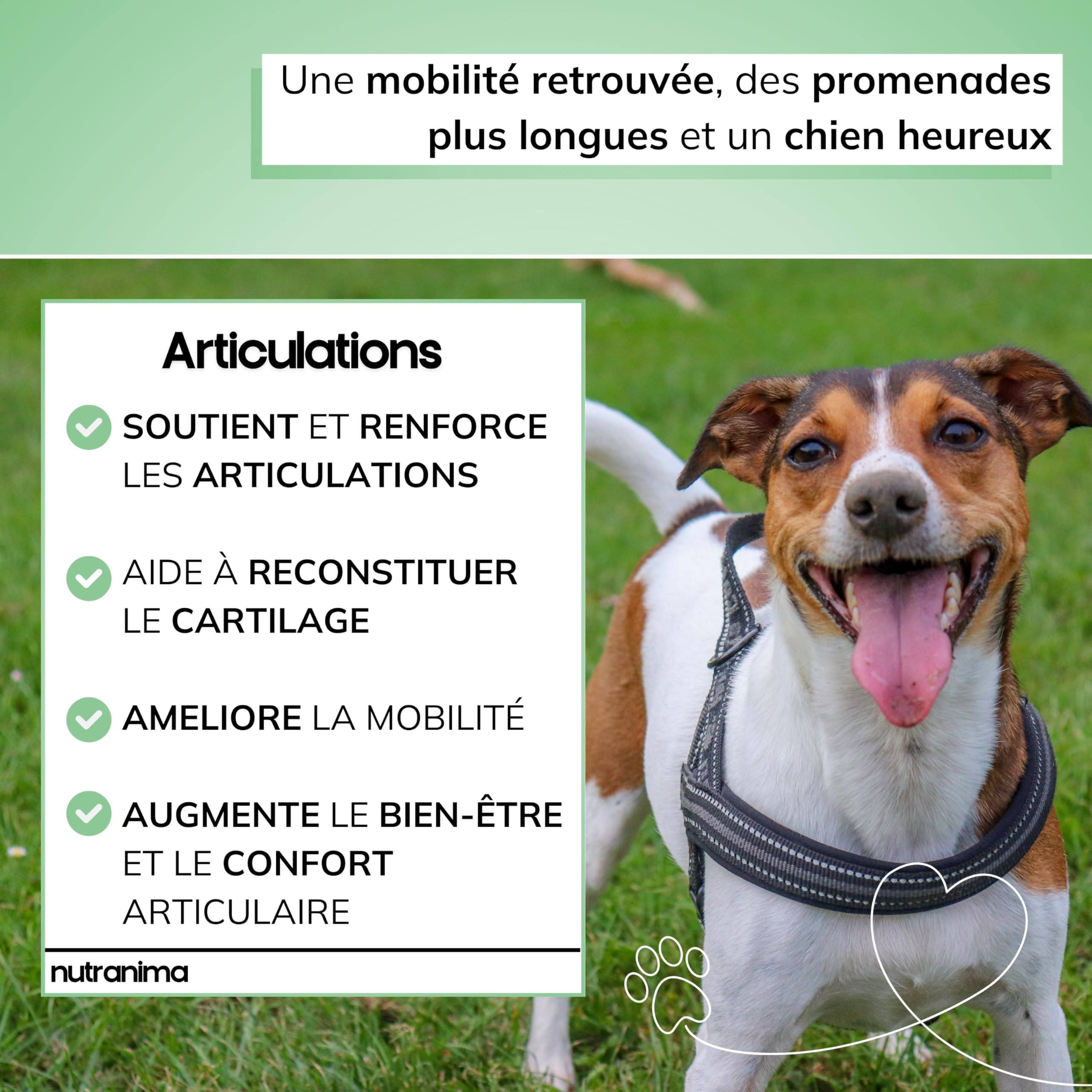 Articulations Chien | Complément Mobilité & Arthrose | 60 Friandises Naturelles | Anti-inflammatoire, Collagène | Chiot, Tous âges & Races | Formule Vétérinaire - Marque Française