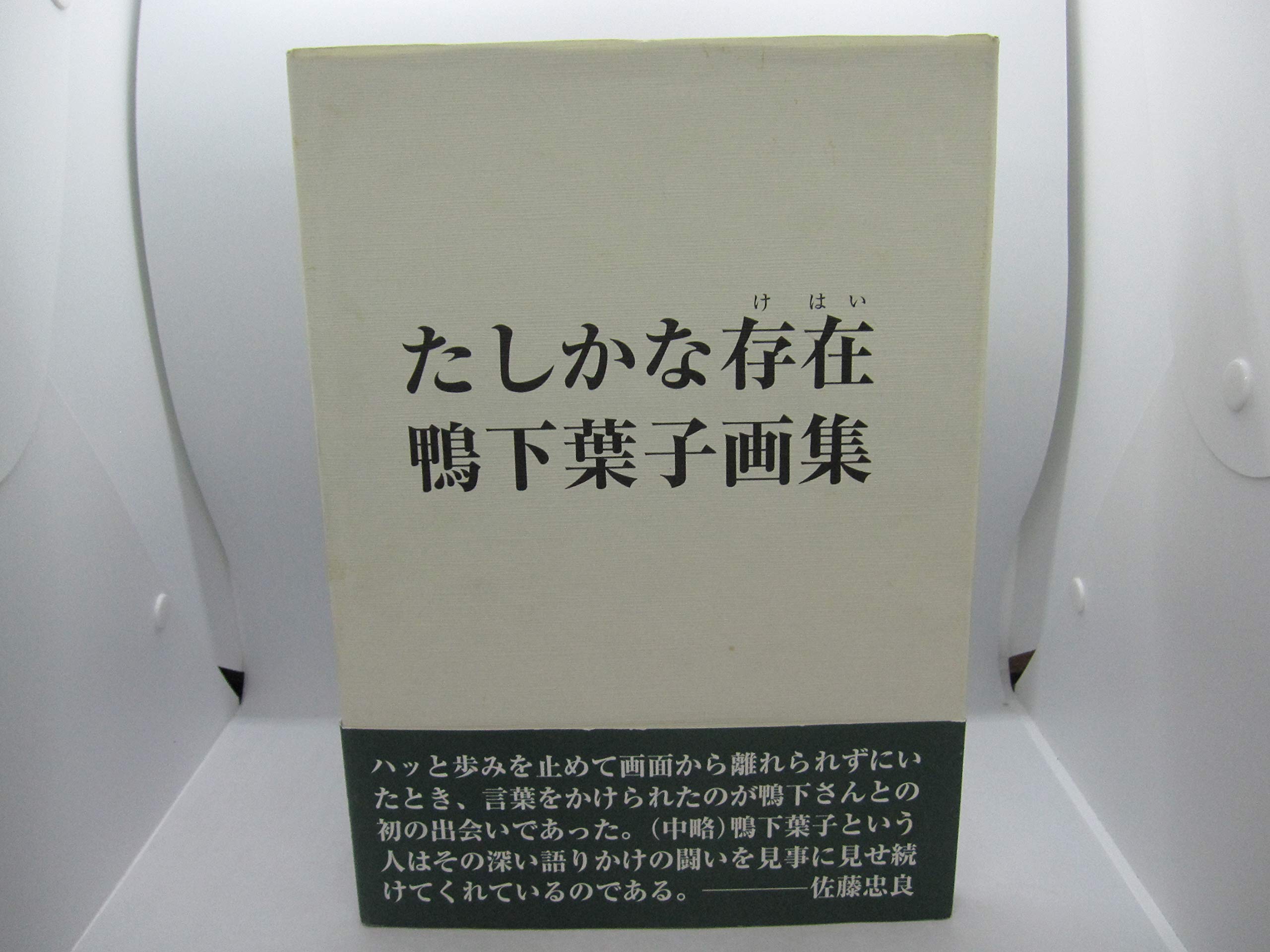 たしかな存在 鴨下葉子画集  /沖積舎/鴨下葉子（単行本） 鴨下葉子画集「たしかな存在」 / 鴨下葉子 | Natsume Books