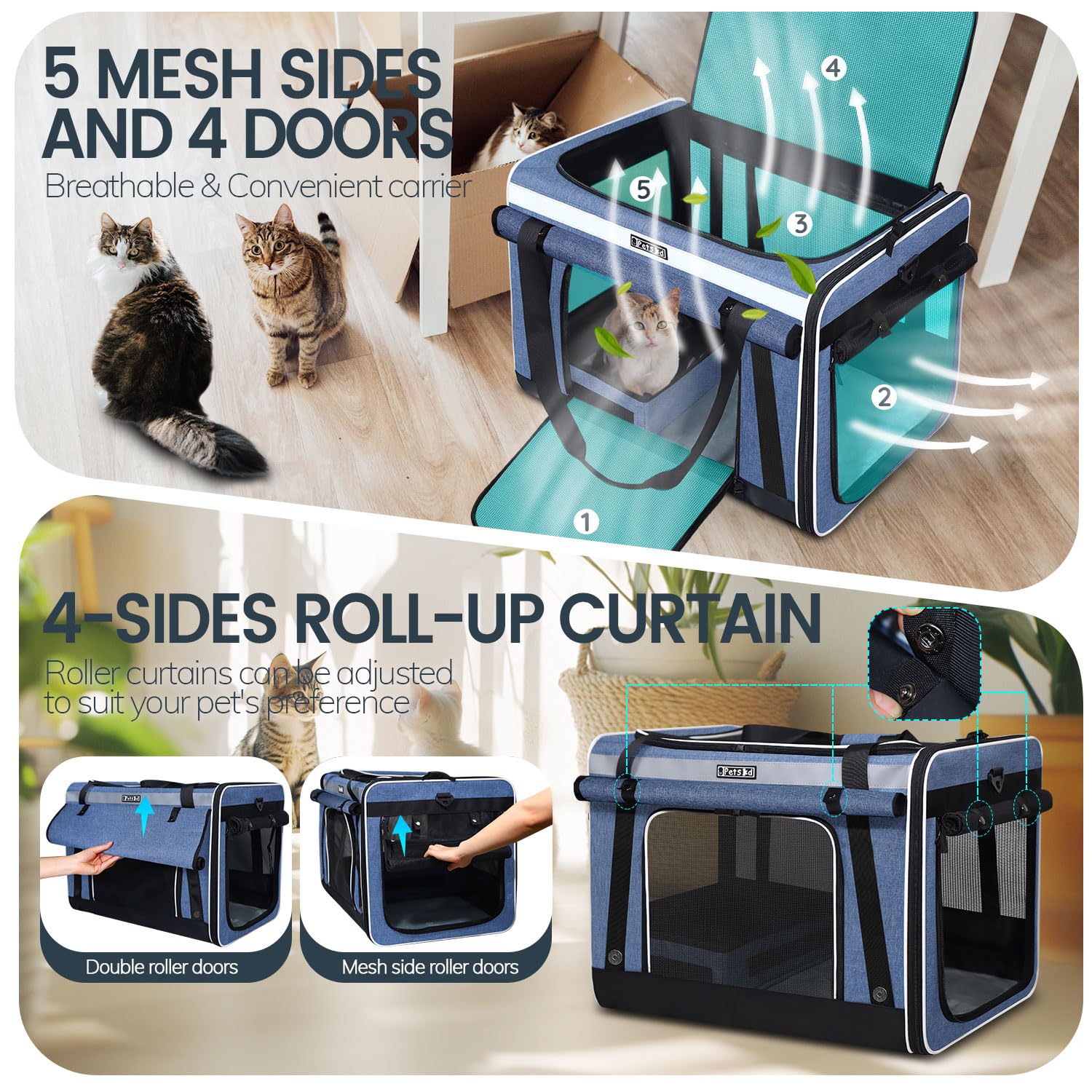 https://m.media-amazon.com/images/I/81NLUpZKPlL.jpg