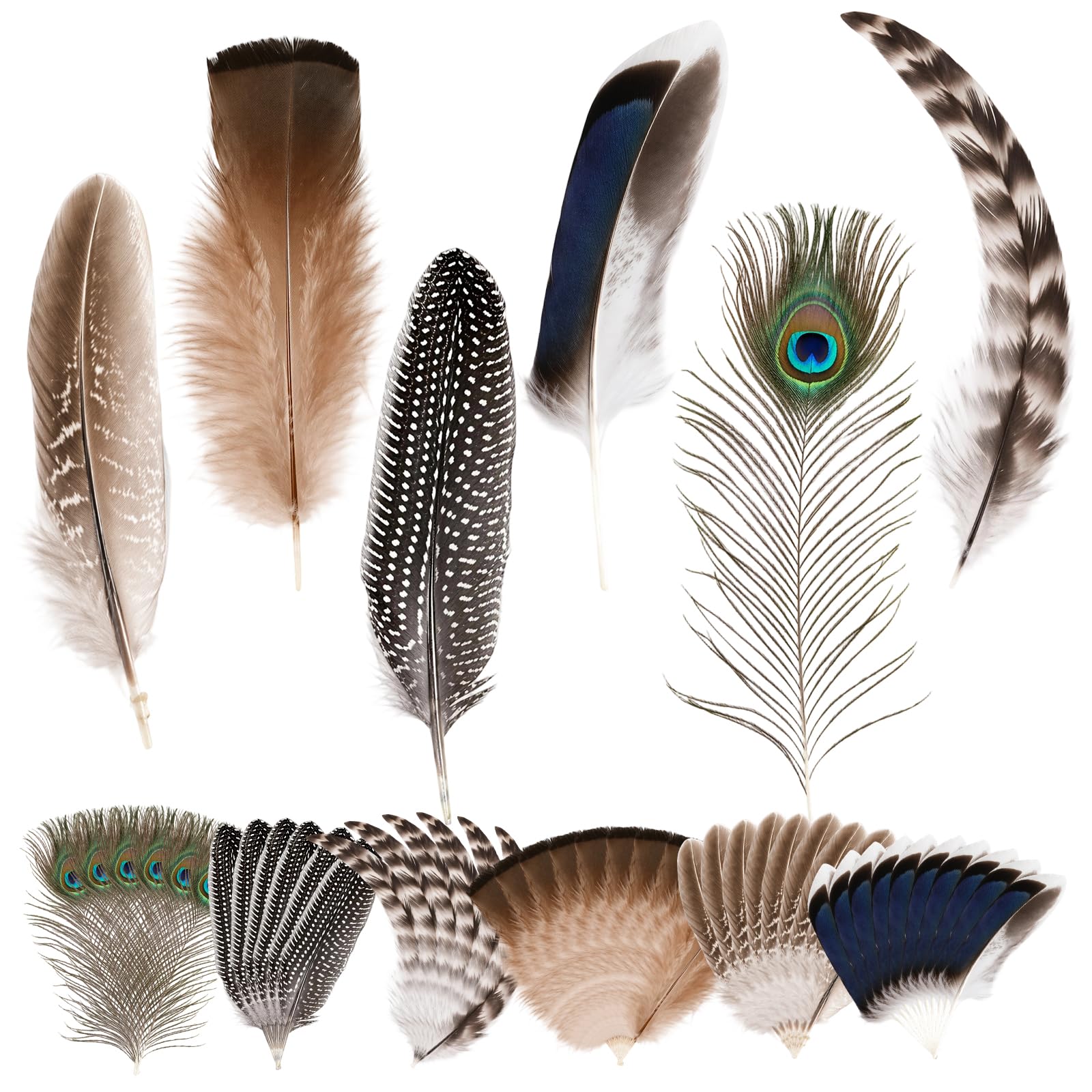 Feathers for Crafting, Large Peacock Feathers and Yellow Feathers, Ideal for Hair Accessories and Hat Decorations, Set of 48 Natural Craft Feathers