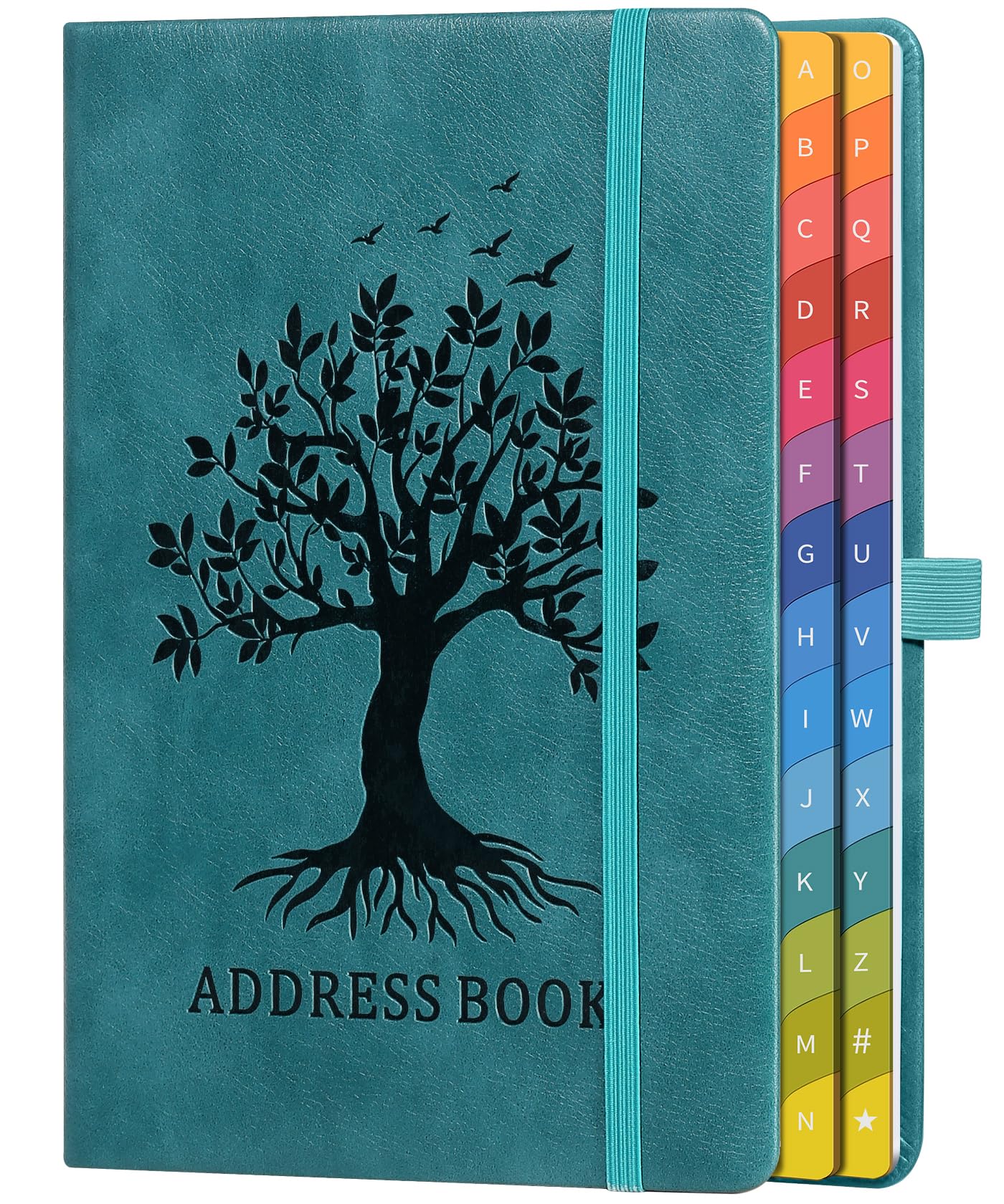 Amazon.com : ZXHQ Address Book with Colorful Alphabetical Tabs
