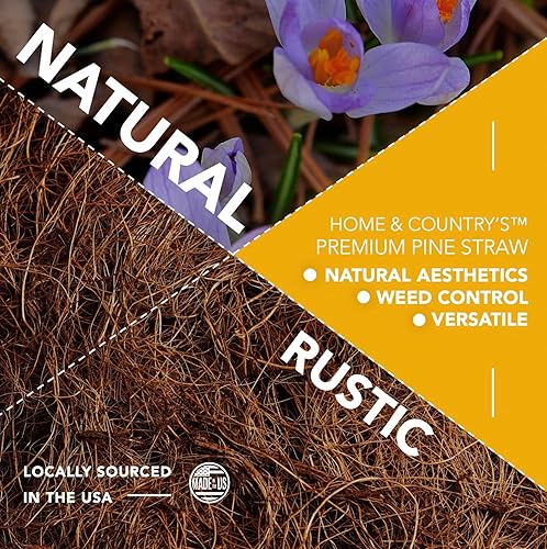 Miniatura 4 de Home and Country USA Mantillo de paja de pino prémium de 1 libra para paisajismo, material orgánico hecho de auténticas agujas de pino, ideal para