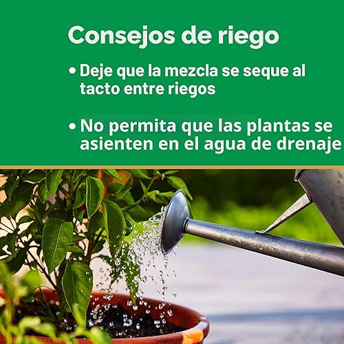 Miniatura 9 de Miracle-Gro - Mezcla para plantar en maceta