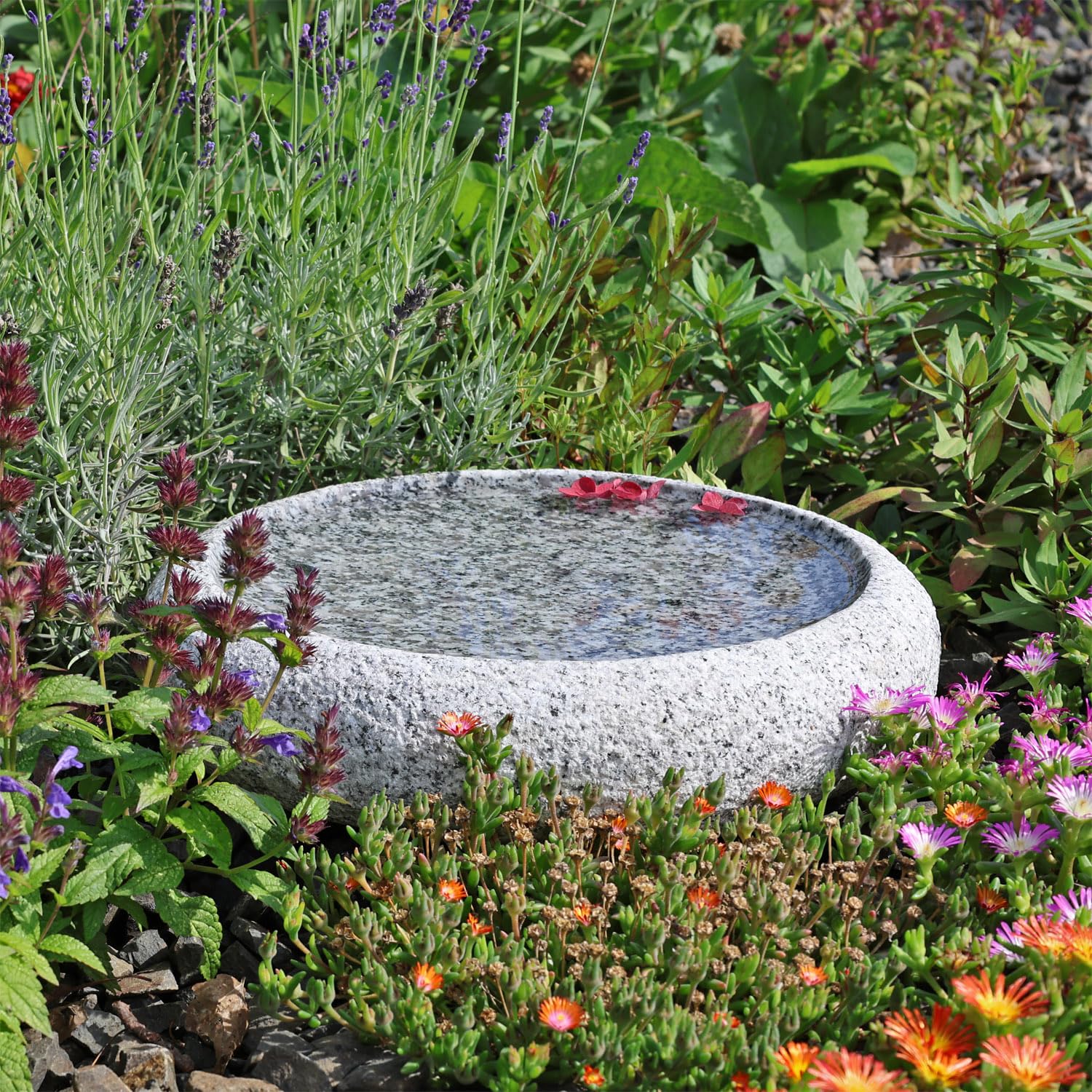 CLGarden Granit Vogelbad Ø 35cm rund Vogeltränke Naturstein Garten Boden Tränke frostsicher Stein