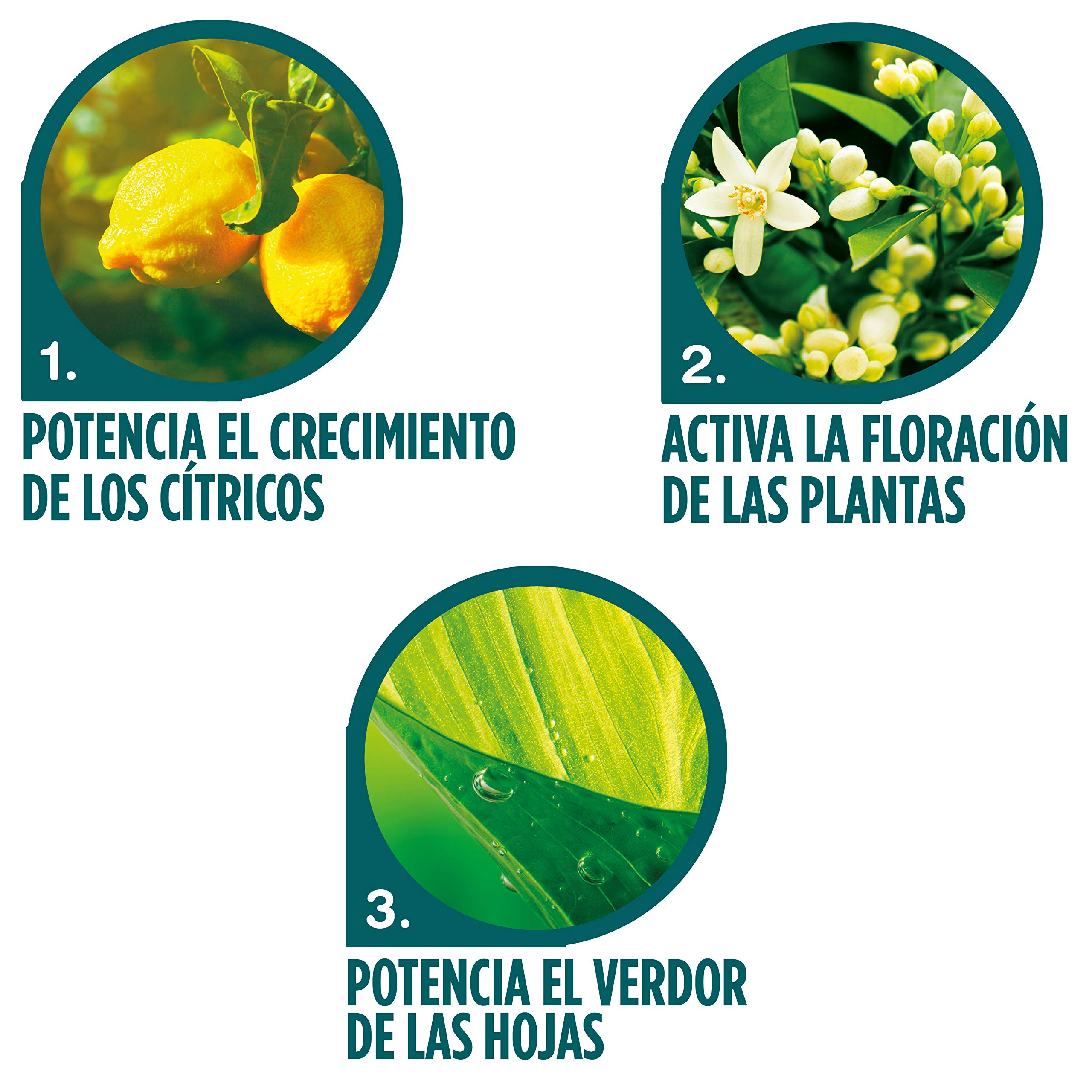 Abono liquido Cítricos 1L Verdecora (PORTES INCLUIDOS)