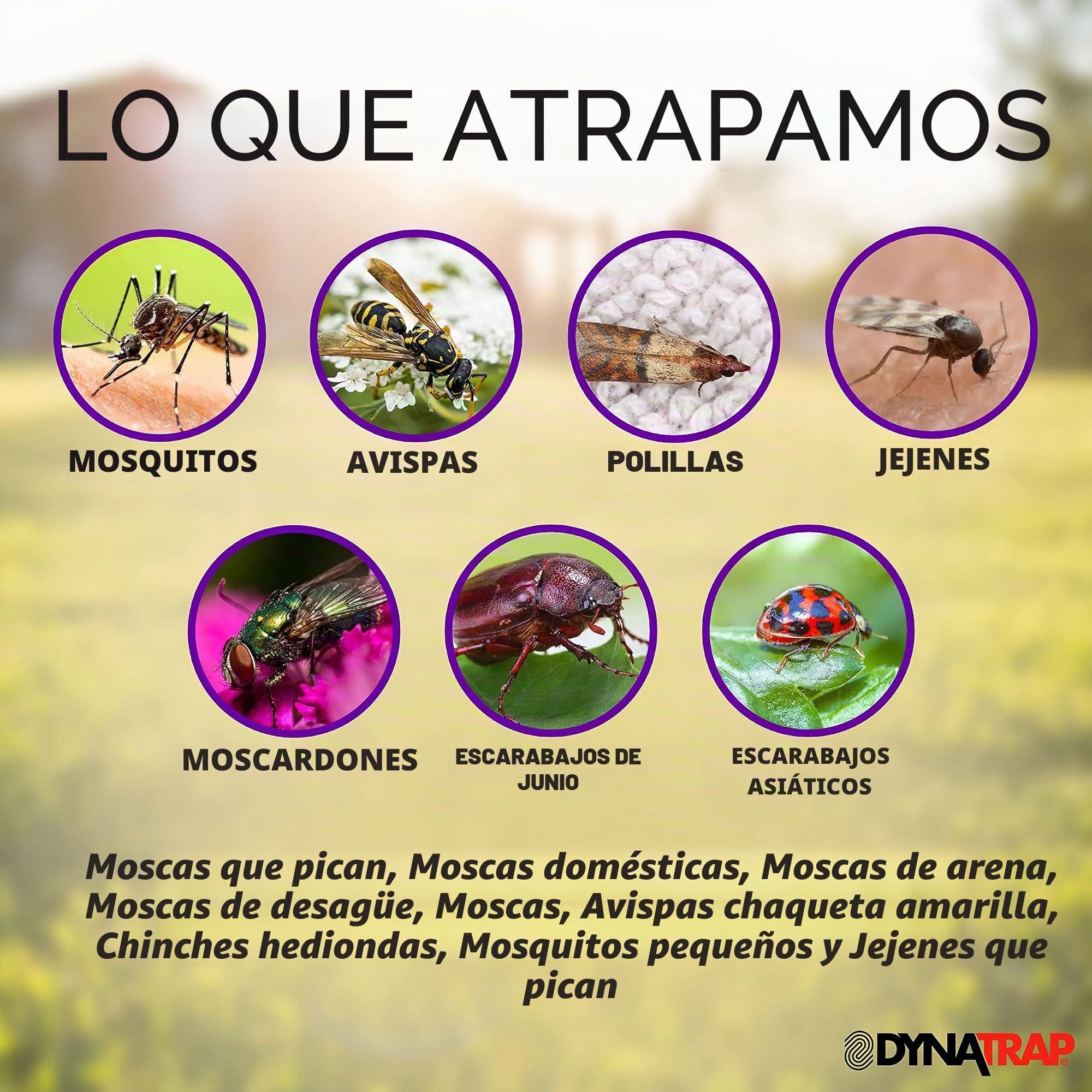 DynaTrap DT160-TUNSR - Trampa para mosquitos de 1/4 acre y trampa para insectos voladores – Mata mosquitos, moscas, mosquitos, avispas y otros insectos voladores – Eliminador de mosquitos y