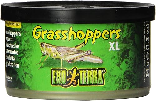 Exo Terra Alimentos especiales para reptiles, conservas XL saltamontes para reptiles, PT1952