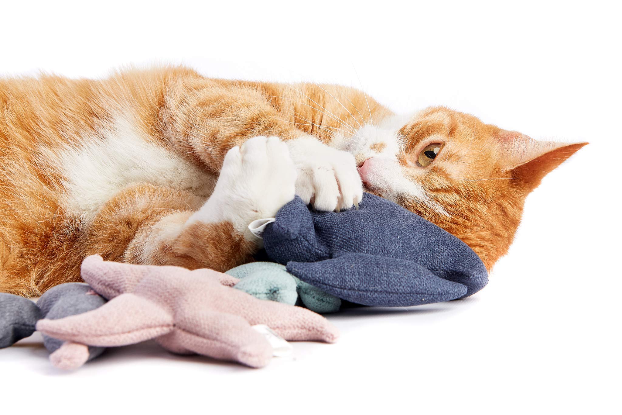 COSY AND DOZY Cat Toy with Catnip, Fish, Original, Handmade in Poland, Buckwheat Shell and Catnip Filling (Fish) - Image 2