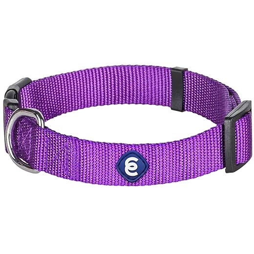 Blueberry Pet Classic Solid Color Nylon Dog Collar in Dark Orchid, X-Small, Neck 19cm-25cm, Adjustable Collars for Dogs