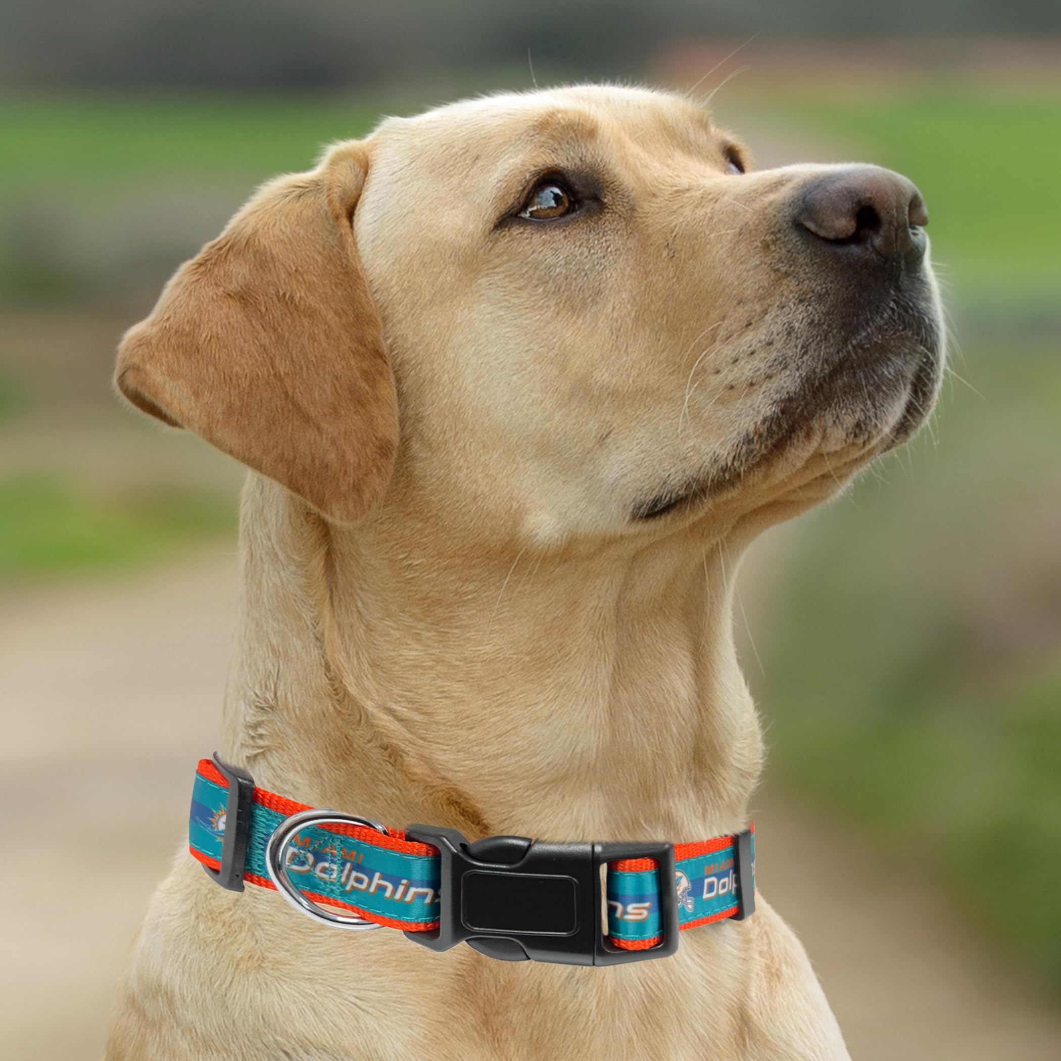 Pets First NFL Miami Dolphins Hundehalsband, lizenziert, extra groß, strapazierfähig, robust und langlebig, erhältlich in 31 Fußballmannschaften und 4 Größen